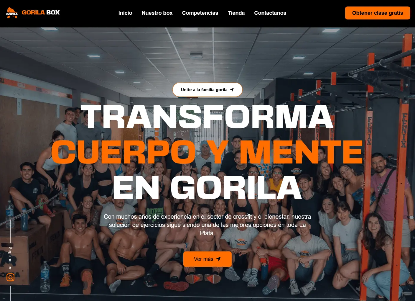 gorila.webp